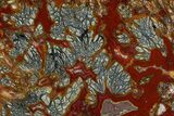 Colorful Polished Marcasite Agate Slab - Indonesia #378132-1
